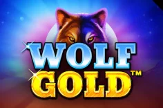 Play Play Wolf Gold Slot slot at Pin Up