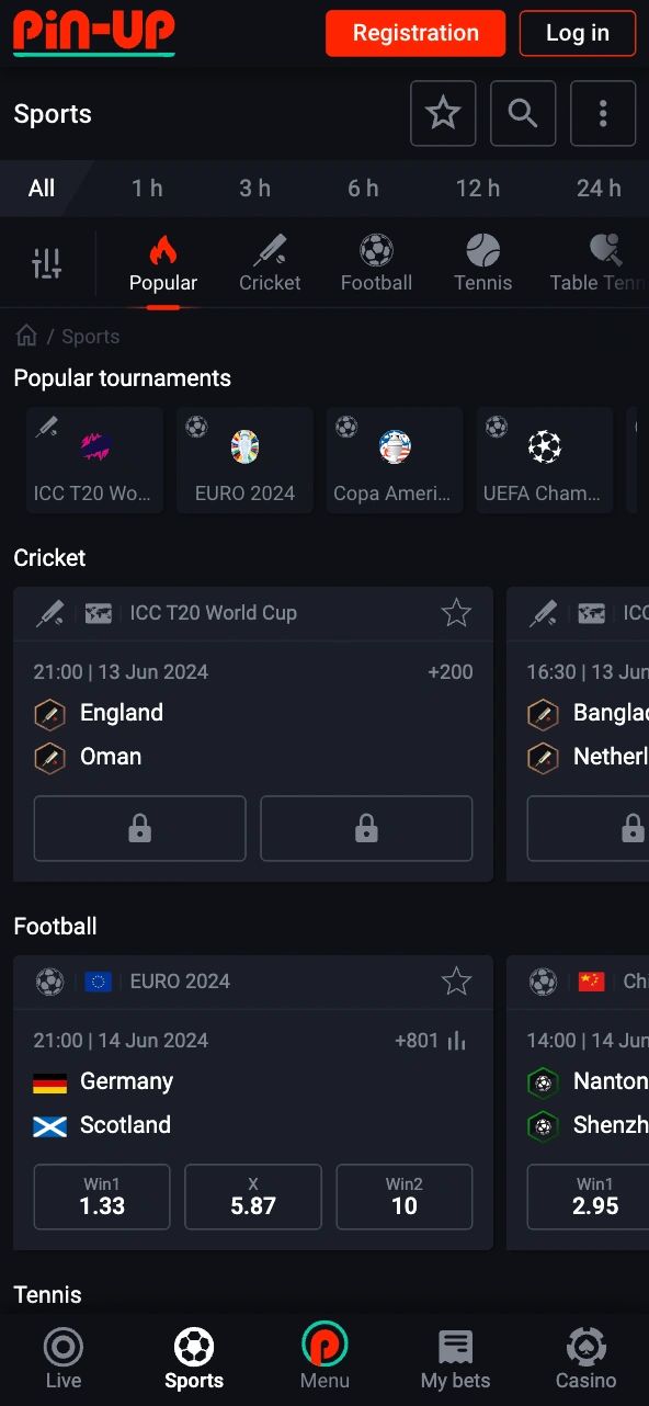 Pin Up Betting App